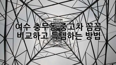 여수 충무동 중고차, 꼼꼼 비교하고 득템💰하는 방법!