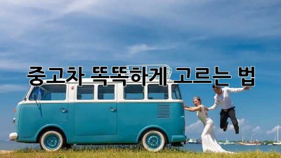 중고차 똑똑하게 고르는 법
